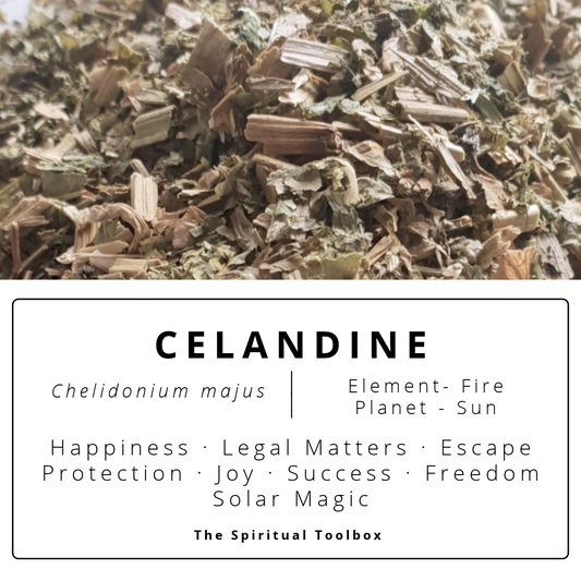 Celandine | Happiness - Legal Matters - Escape - Joy - Freedom