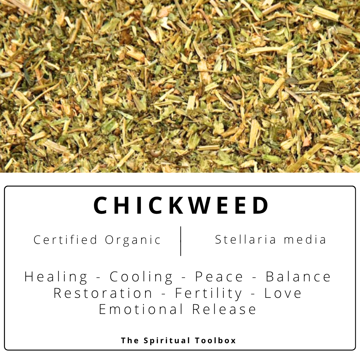 Chickweed | Healing - Peace - Relationships - Emotional Support