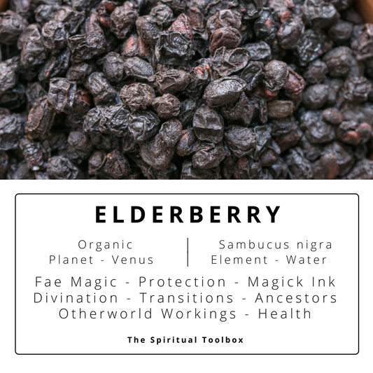 Elderberry | Magick Ink - Health - Protection - Fae - Otherworld Workings
