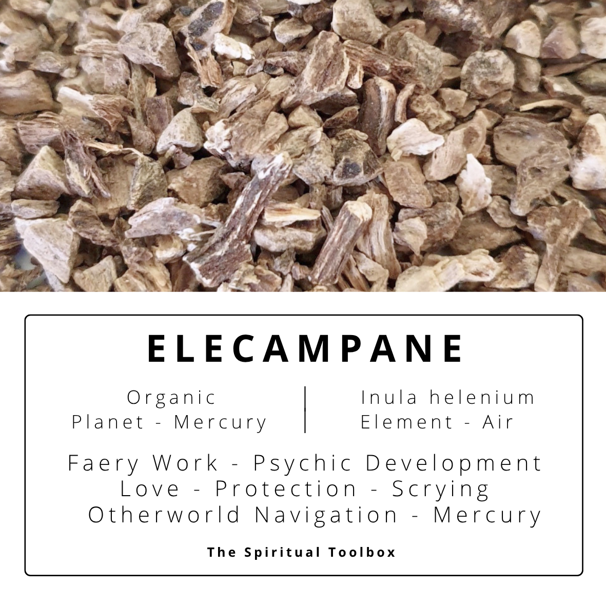 Elecampane | Faery Work - Psychic Development - Love - Protection - Liminal States