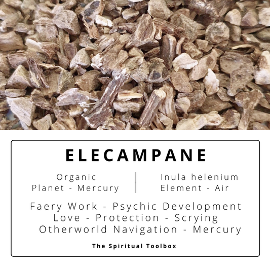 Elecampane | Faery Work - Psychic Development - Love - Protection - Liminal States