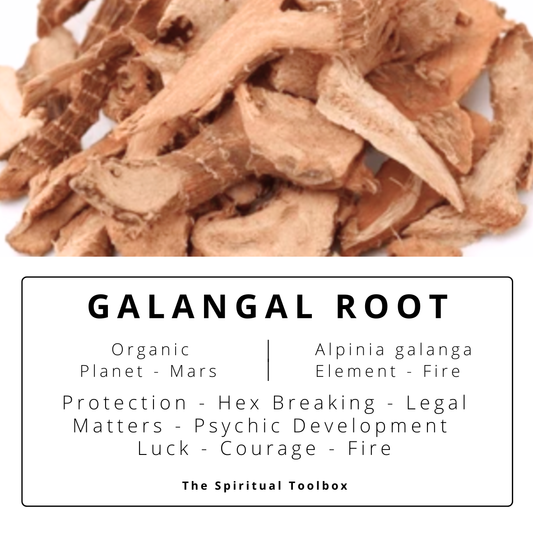 Galangal | Protection - Hex-Breaking - Legal Matters - Psychic Development