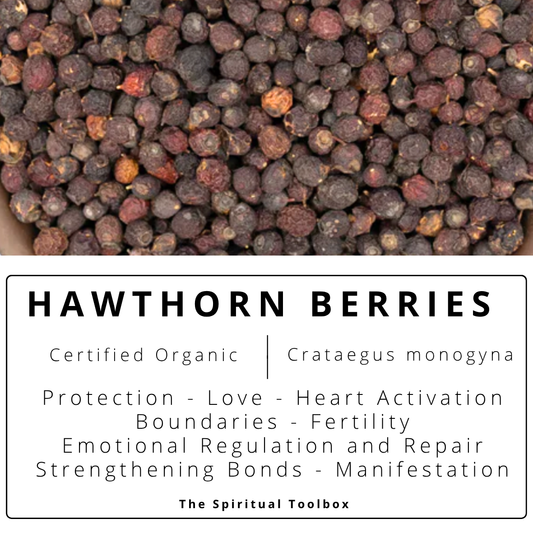 Hawthorn Berries | Love - Fertility - Strengthening Bonds - Manifestation