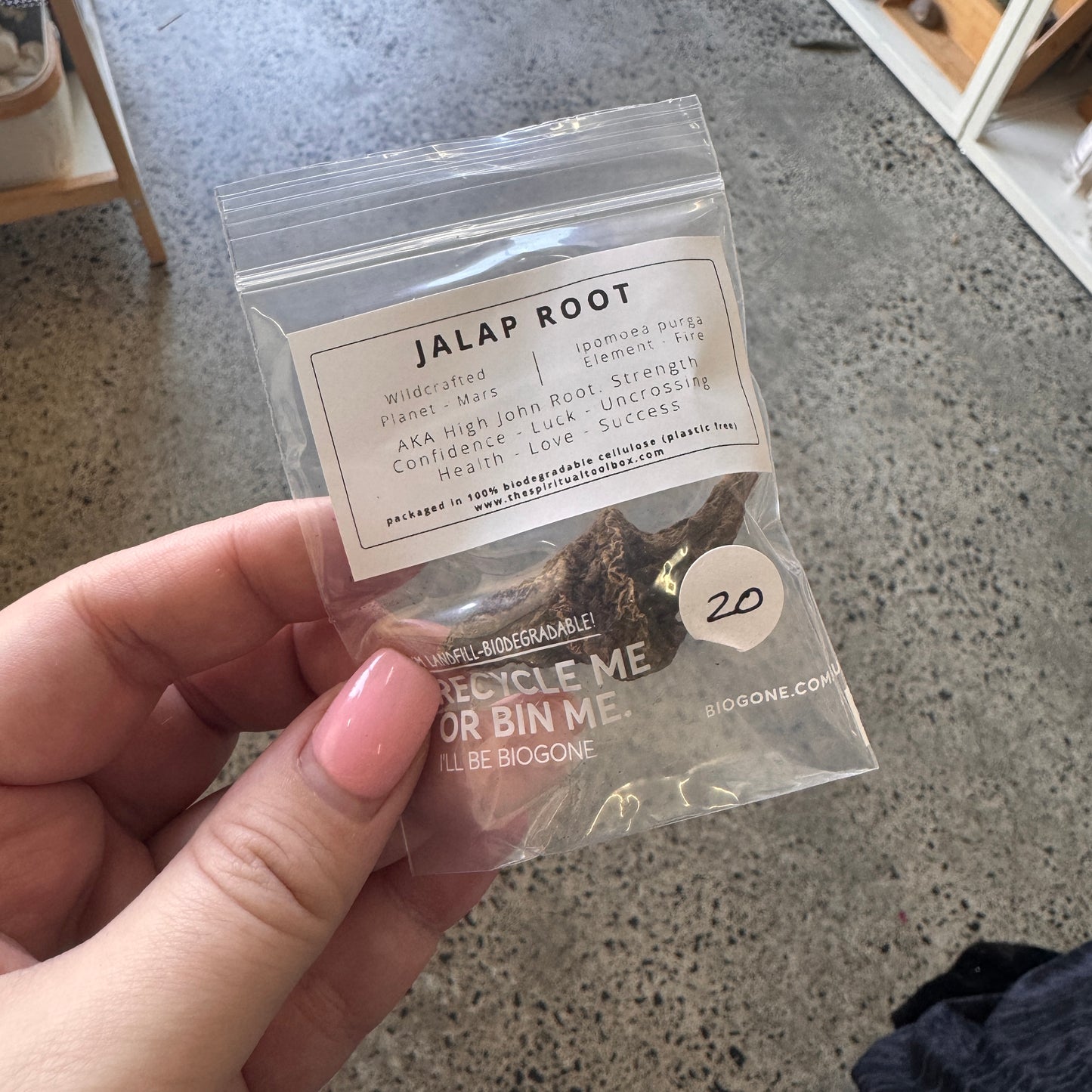 High John Jalap Root | Personal Power - Luck - Resilience - Road Opening