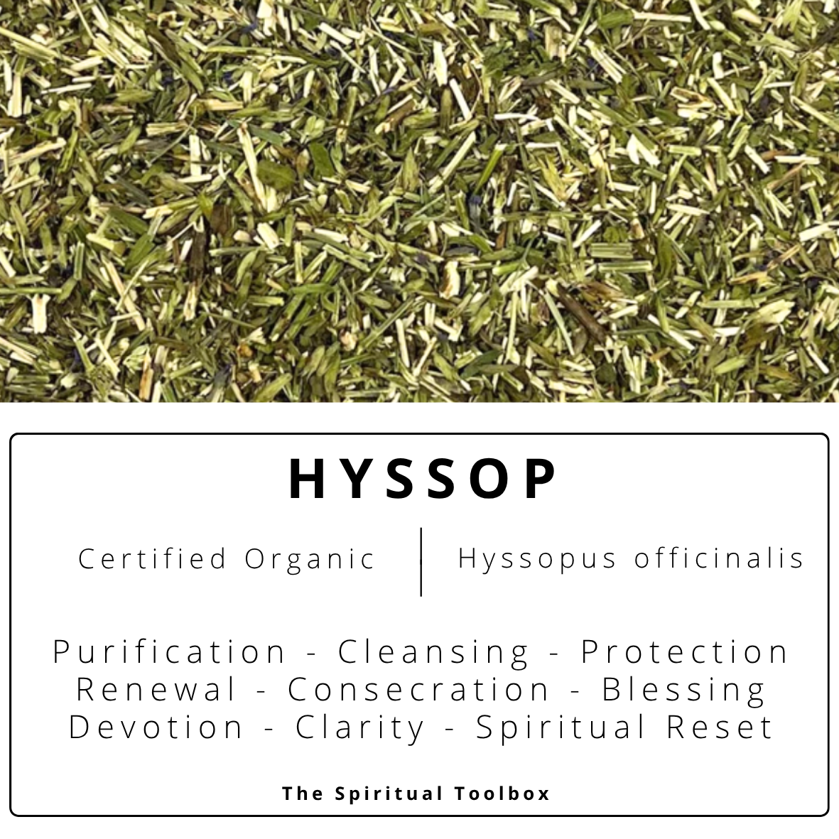 Hyssop | Purification - Cleansing - Protection - Renewal
