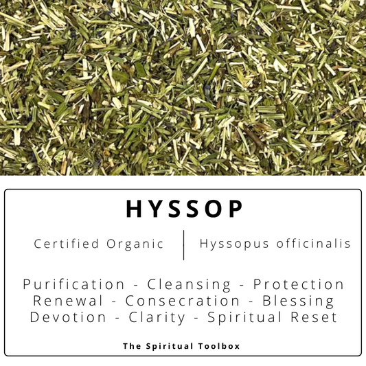 Hyssop | Purification - Cleansing - Protection - Renewal