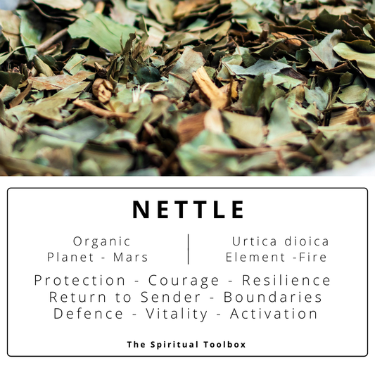 Nettle | Protection - Vitality - Purification - Warding - Defence
