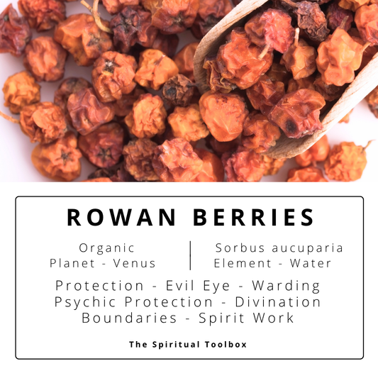 Rowan Berries | Protection - Evil Eye - Warding - Psychic Protection - Divination