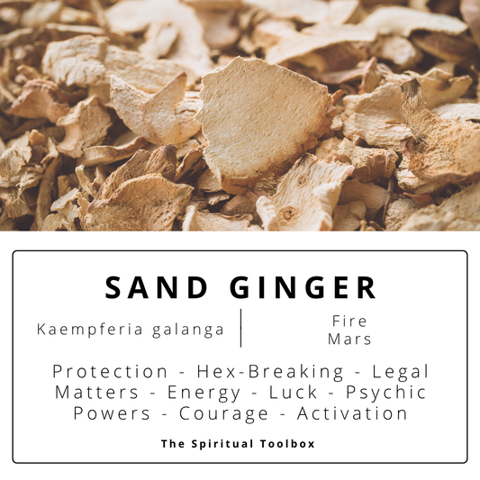 Sand Ginger | Protection - Psychic Powers - Luck - Flourishing – Hex-Breaking