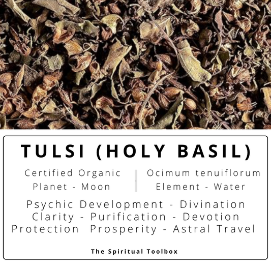 Tulsi (Holy Basil) | Psychic Development - Divination - Clarity - Prosperity - Astral Travel