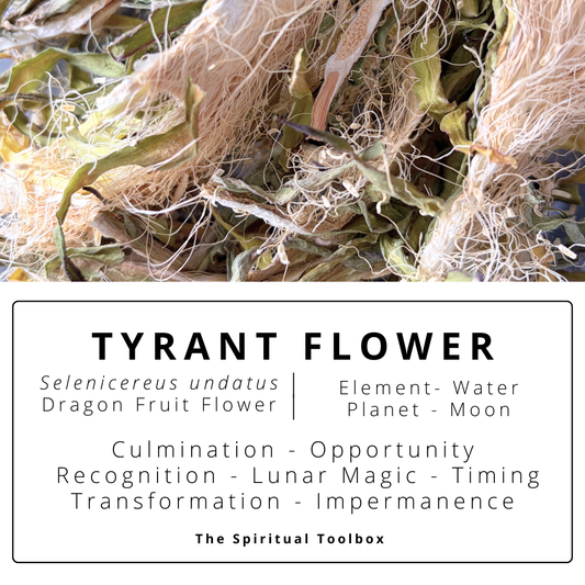 Tyrant Flower | Lunar Magick - Opportunity - Thresholds - Grief - Dreamwork