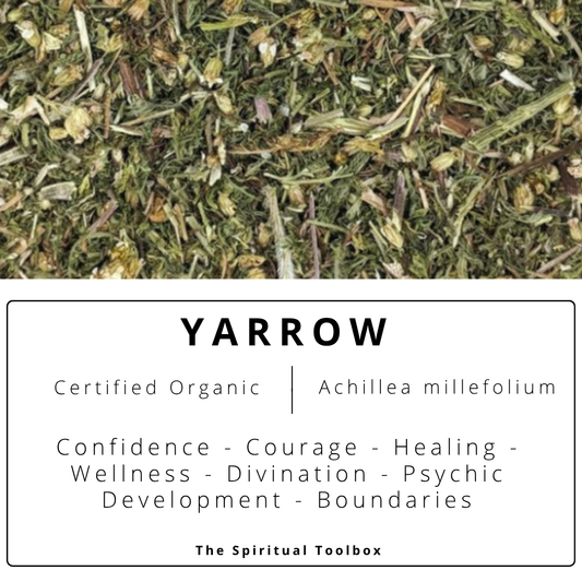 Yarrow | Protection - Psychic Defence - Courage - Boundaries