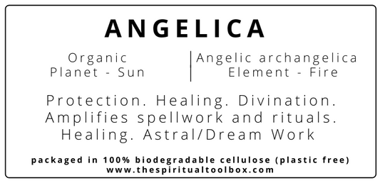 Angelica Root