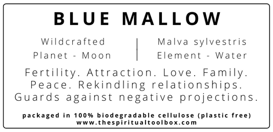 Blue Mallow