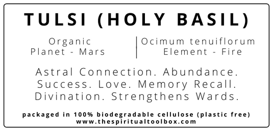 Tulsi (Holy Basil)